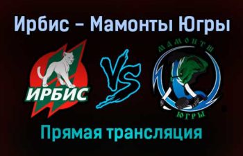 Ирбис — Мамонты Югры прямая трансляция 29 ноября 2021 года