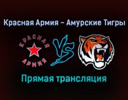 Красная Армия — Амурские Тигры прямая трансляция 10 ноября 2021 года