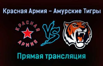 Красная Армия — Амурские Тигры прямая трансляция 10 ноября 2021 года