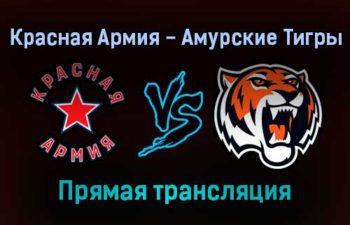 Красная Армия — Амурские Тигры прямая трансляция 9 ноября 2021 года