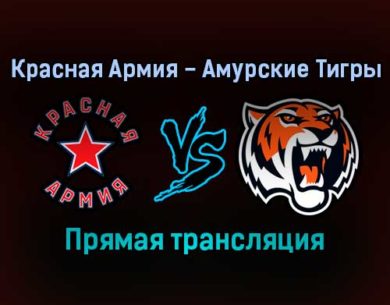 Красная Армия — Амурские Тигры прямая трансляция 9 ноября 2021 года