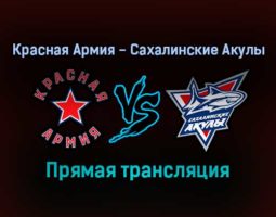 Красная Армия — Сахалинские Акулы прямая трансляция 14 ноября 2021 года