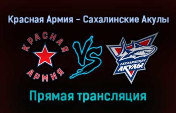 Красная Армия — Сахалинские Акулы прямая трансляция 14 ноября 2021 года