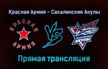Красная Армия — Сахалинские Акулы прямая трансляция 15 ноября 2021 года