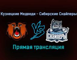 Кузнецкие Медведи — Сибирские Снайперы прямая трансляция 10 ноября 2021 года