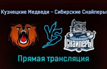 Кузнецкие Медведи — Сибирские Снайперы прямая трансляция 10 ноября 2021 года