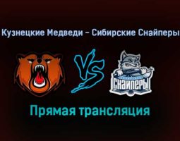 Кузнецкие Медведи — Сибирские Снайперы прямая трансляция 11 ноября 2021 года