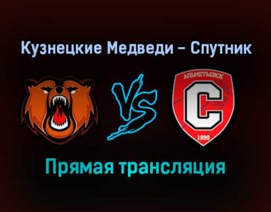 Кузнецкие Медведи — Спутник прямая трансляция 21 ноября 2021 года