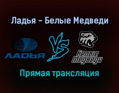 Ладья — Белые Медведи прямая трансляция 20 ноября 2021 года