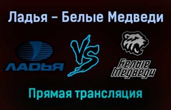 Ладья — Белые Медведи прямая трансляция 21 ноября 2021 года