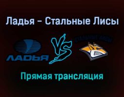 Ладья — Стальные Лисы прямая трансляция 16 ноября 2021 года
