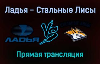Ладья — Стальные Лисы прямая трансляция 16 ноября 2021 года