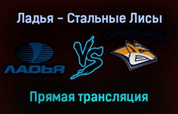 Ладья — Стальные Лисы прямая трансляция 17 ноября 2021 года