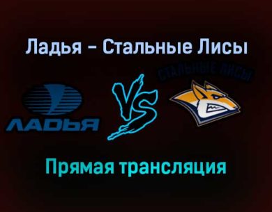 Ладья — Стальные Лисы прямая трансляция 17 ноября 2021 года