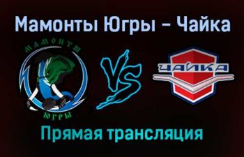 Мамонты Югры — Чайка прямая трансляция 24 ноября 2021 года
