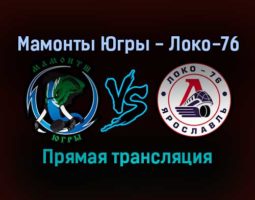 Мамонты Югры — Локо-76 прямая трансляция 20 ноября 2021 года
