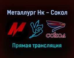 Металлург Нк — Сокол прямая трансляция 18 ноября 2021 года