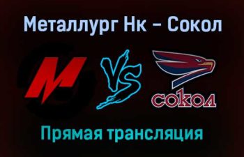 Металлург Нк — Сокол прямая трансляция 18 ноября 2021 года