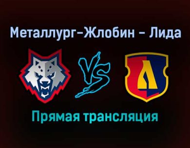 Металлург-Жлобин — Лида прямая трансляция 25 ноября 2021 года