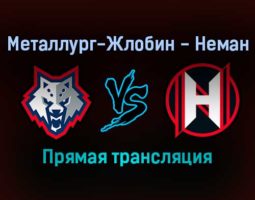 Металлург-Жлобин — Неман прямая трансляция 23 ноября 2021 года