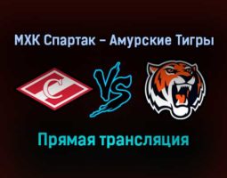 МХК Спартак — Амурские Тигры прямая трансляция 14 ноября 2021 года
