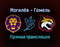 Могилёв — Гомель прямая трансляция 29 ноября 2021 года