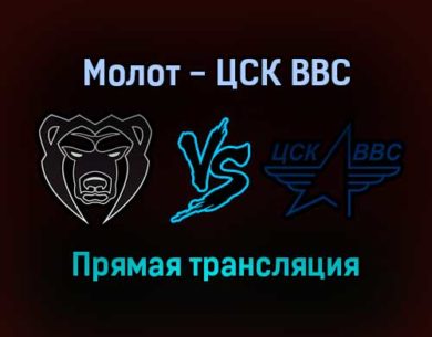 Молот — ЦСК ВВС прямая трансляция 30 ноября 2021 года