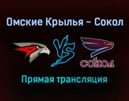 Омские Крылья — Сокол прямая трансляция 20 ноября 2021 года