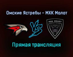 Омские Ястребы — МХК Молот прямая трансляция 23 ноября 2021 года