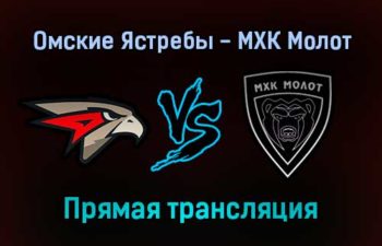 Омские Ястребы — МХК Молот прямая трансляция 23 ноября 2021 года