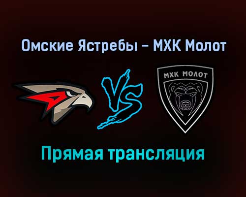 Омские Ястребы — МХК Молот прямая трансляция 23 ноября 2021 года Омские Ястребы — МХК Молот прямая трансляция 23 ноября 2021 года