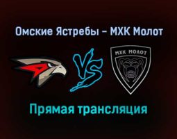 Омские Ястребы — МХК Молот прямая трансляция 24 ноября 2021 года