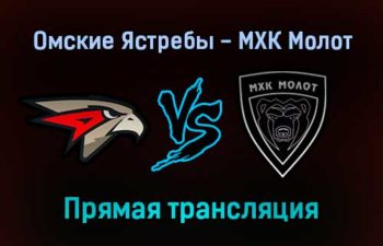 Омские Ястребы — МХК Молот прямая трансляция 24 ноября 2021 года