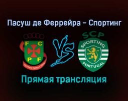Пасуш де Феррейра — Спортинг прямая трансляция 7 ноября 2021 года