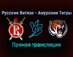 Русские Витязи — Амурские Тигры прямая трансляция 21 ноября 2021 года