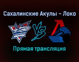 Сахалинские Акулы — Локо прямая трансляция 10 ноября 2021 года
