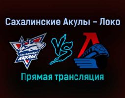 Сахалинские Акулы — Локо прямая трансляция 11 ноября 2021 года