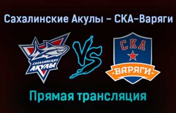 Сахалинские Акулы — СКА-Варяги прямая трансляция 25 ноября 2021 года