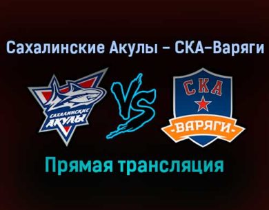 Сахалинские Акулы — СКА-Варяги прямая трансляция 25 ноября 2021 года