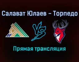 Салават Юлаев — Торпедо прямая трансляция 23 ноября 2021 года