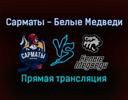 Сарматы — Белые Медведи прямая трансляция 16 ноября 2021 года