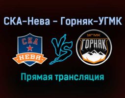 СКА-Нева — Горняк-УГМК прямая трансляция 26 ноября 2021 года
