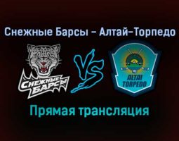 Снежные Барсы — Алтай-Торпедо прямая трансляция 19 ноября 2021 года