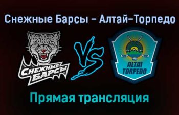 Снежные Барсы — Алтай-Торпедо прямая трансляция 19 ноября 2021 года