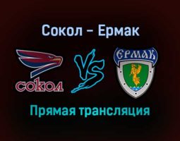 Сокол — Ермак прямая трансляция 25 ноября 2021 года