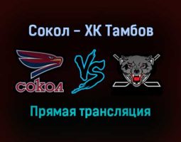 Сокол — ХК Тамбов прямая трансляция 10 ноября 2021 года