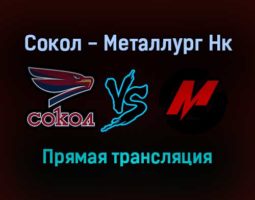 Сокол — Металлург Нк прямая трансляция 29 ноября 2021 года