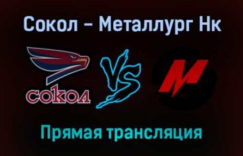 Сокол — Металлург Нк прямая трансляция 29 ноября 2021 года