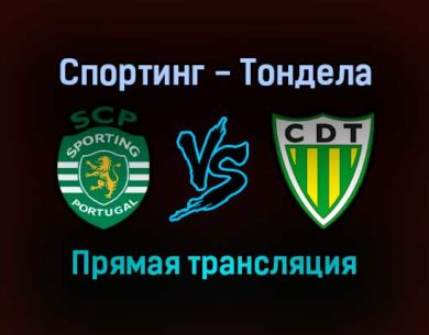Спортинг — Тондела прямая трансляция 28 ноября 2021 года