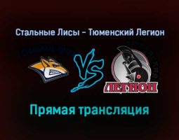 Стальные Лисы — Тюменский Легион прямая трансляция 9 ноября 2021 года
